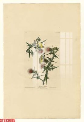 File ảnh Tranh sơn dầu phương tây tổng hợp STS73085 (gốc) cho trang trí nhà hàng