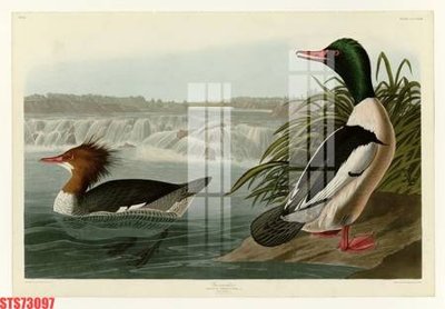 File in mica Tranh sơn dầu phương tây tổng hợp STS73097 (ảnh gốc) đẹp