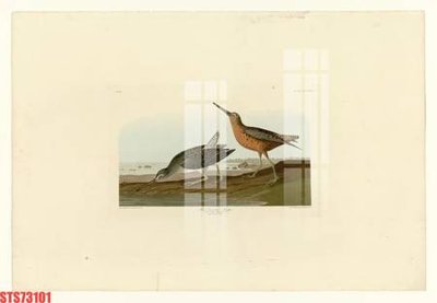 Download file ảnh gốc Tranh sơn dầu phương tây tổng hợp STS73101 để in ấn