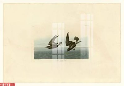 Download file tranh PSD Tranh sơn dầu phương tây tổng hợp STS73106 để chỉnh sửa