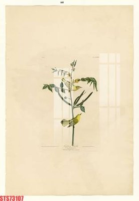 Tải file Tranh sơn dầu phương tây tổng hợp STS73107 (gốc) in ấn chất lượng