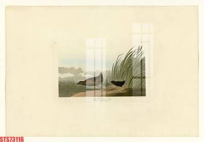 File ảnh Tranh sơn dầu phương tây tổng hợp STS73116 (gốc) in poster