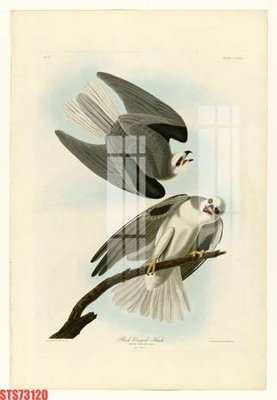 File gốc Tranh sơn dầu phương tây tổng hợp STS73120 (in lụa) trang trí tường