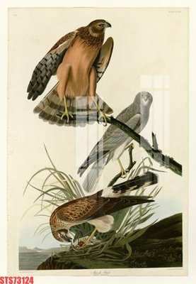 File gốc Tranh sơn dầu phương tây tổng hợp STS73124 (trang trí) phòng ngủ