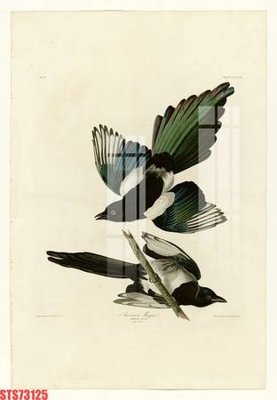 Tải file gốc Tranh sơn dầu phương tây tổng hợp STS73125 (in tráng gương) cao cấpFile gốc Tranh sơn dầu phương tây tổng hợp STS73125 (in ấn) phiên bản độc quyền