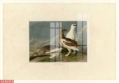 File gốc Tranh sơn dầu phương tây tổng hợp STS73137 cho in ấn và thiết kế