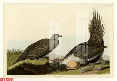 File gốc Tranh sơn dầu phương tây tổng hợp STS73141 (cho in ấn) từ kho Filetranh