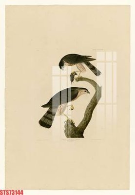 File PSD Tranh sơn dầu phương tây tổng hợp STS73144 (gốc) nhiều lớp (multi-layer)