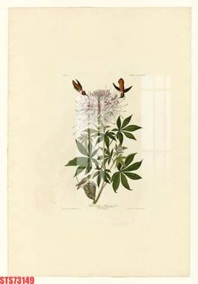 Tải file Tranh sơn dầu phương tây tổng hợp STS73149 (PSD) cho in ấn quảng cáo