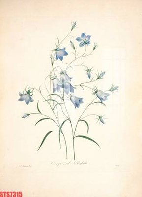 File tranh Tranh sơn dầu phương tây tổng hợp STS7315 (ảnh gốc) in trần nhà