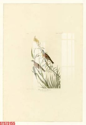 File gốc in ấn Tranh sơn dầu phương tây tổng hợp STS73155 (sẵn sàng tải về)