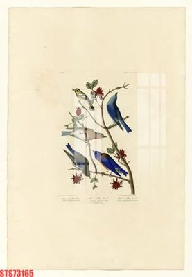 Tải file Tranh sơn dầu phương tây tổng hợp STS73165 (PSD) cho in tranh 3D