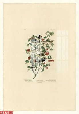 File in mica Tranh sơn dầu phương tây tổng hợp STS73167 (bản gốc) sắc sảo