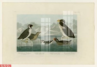 File PSD Tranh sơn dầu phương tây tổng hợp STS73176 (bản gốc) chất lượng nhất