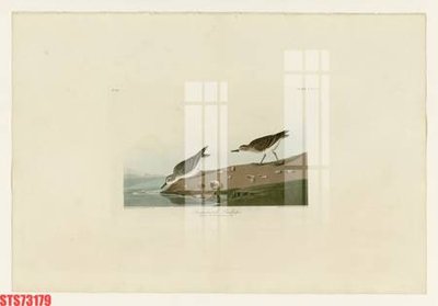 File tranh Tranh sơn dầu phương tây tổng hợp STS73179 (ảnh gốc) độc quyền