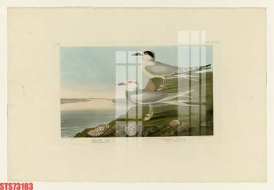 File gốc Tranh sơn dầu phương tây tổng hợp STS73183 (cho in 3D) độc đáo