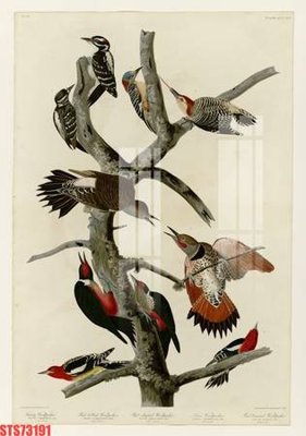 File gốc Tranh sơn dầu phương tây tổng hợp STS73191 (cho in ấn) từ Filetranh.com