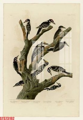 File gốc Tranh sơn dầu phương tây tổng hợp STS73192 (in lụa) chi tiết cao