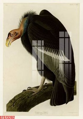 File tranh Tranh sơn dầu phương tây tổng hợp STS73202 (bản gốc) treo quán cafe