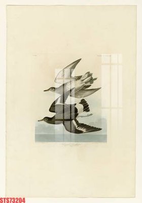 File gốc Tranh sơn dầu phương tây tổng hợp STS73204 (PNG) chất lượng cao