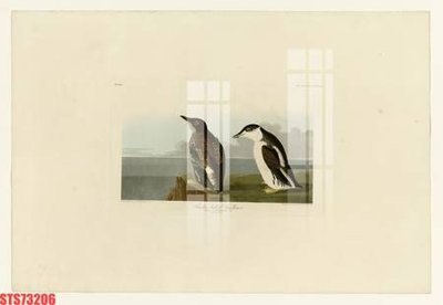 Tải file Tranh sơn dầu phương tây tổng hợp STS73206 (gốc) làm file tranh quảng cáo