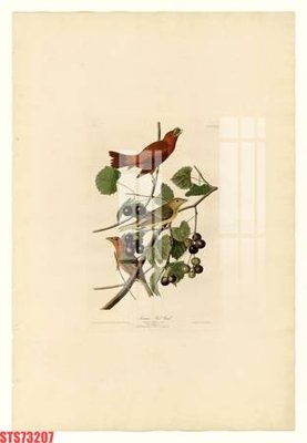 Mua file gốc Tranh sơn dầu phương tây tổng hợp STS73207 (in ấn) tại Filetranh.com