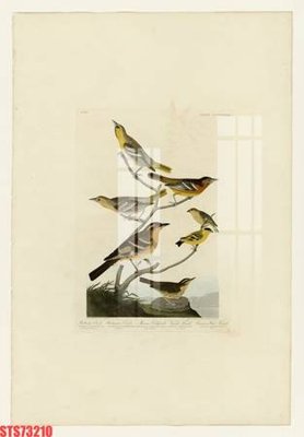 File gốc Tranh sơn dầu phương tây tổng hợp STS73210 (PNG) không nền chất lượng