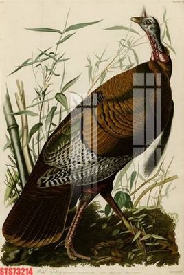 File tranh Tranh sơn dầu phương tây tổng hợp STS73214 (gốc) chủ đề thiên nhiên