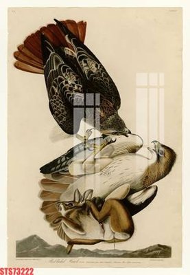 File PSD Tranh sơn dầu phương tây tổng hợp STS73222 (nguyên gốc) chất lượng cao