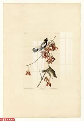 Chi tiết file tranh tráng gương Tranh sơn dầu phương tây tổng hợp STS73225 (ảnh gốc)