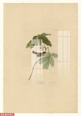 Cung cấp file tranh gốc Tranh sơn dầu phương tây tổng hợp STS73236 độc quyền