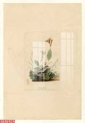 Tải file Tranh sơn dầu phương tây tổng hợp STS73242 (gốc) chủ đề tôn giáo