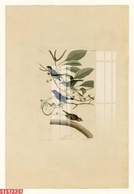 Tệp tin gốc Tranh sơn dầu phương tây tổng hợp STS73247 (chất lượng cao) Tranh sơn dầu phương tây tổng hợp STS73247