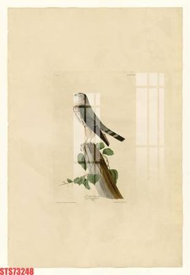 Tải file Tranh sơn dầu phương tây tổng hợp STS73248 (ảnh gốc) file AI/EPS