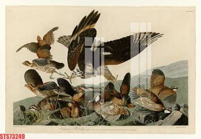 Chi tiết file ảnh Tranh sơn dầu phương tây tổng hợp STS73249 sắc nét