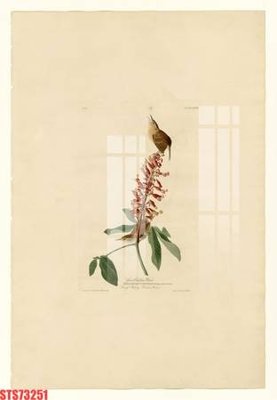 Tệp tin gốc Tranh sơn dầu phương tây tổng hợp STS73251 (chất lượng) Tranh sơn dầu phương tây tổng hợp STS73251