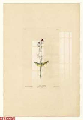 File gốc Tranh sơn dầu phương tây tổng hợp STS73254 (in tráng gương) ốp tường