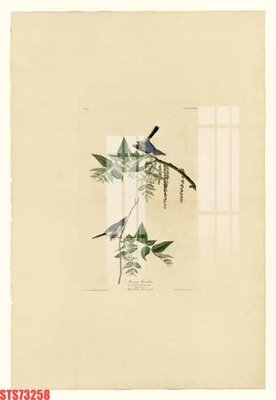 File gốc in ấn Tranh sơn dầu phương tây tổng hợp STS73258 chất lượng vượt trội