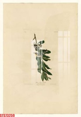 File gốc Tranh sơn dầu phương tây tổng hợp STS73259 (in lụa) chi tiết cao