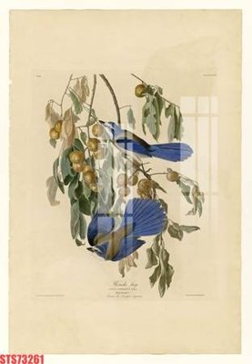 File tranh Tranh sơn dầu phương tây tổng hợp STS73261 (gốc) in vải canvas