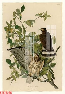 File tranh Tranh sơn dầu phương tây tổng hợp STS73266 (bản gốc) trang trí văn phòng