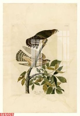 Chi tiết file gốc Tranh sơn dầu phương tây tổng hợp STS73267 (cho in tráng gương)