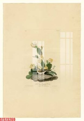 File tranh Tranh sơn dầu phương tây tổng hợp STS73269 (bản gốc) in lụa 5D