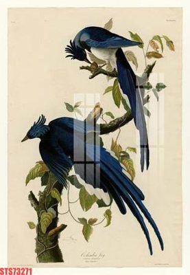 Tải file Tranh sơn dầu phương tây tổng hợp STS73271 (ảnh gốc) độ phân giải 300dpi