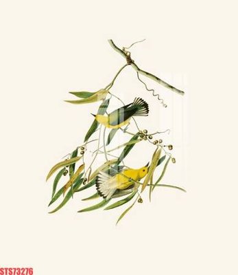 Tải file Tranh sơn dầu phương tây tổng hợp STS73276 (gốc) làm tranh trang trí