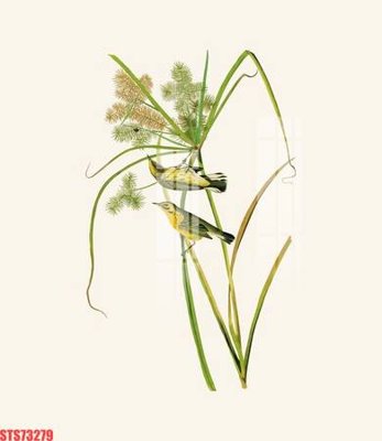 File gốc Tranh sơn dầu phương tây tổng hợp STS73279 (in tráng gương) ốp tường