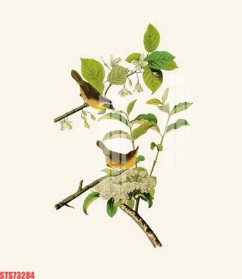 File tranh Tranh sơn dầu phương tây tổng hợp STS73284 (gốc) chủ đề tĩnh vật