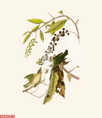 Tải file Tranh sơn dầu phương tây tổng hợp STS73289 (gốc) làm file thiết kế