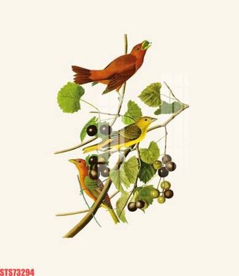 Ảnh gốc Tranh sơn dầu phương tây tổng hợp STS73294 (độ nét cao) in mica