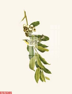 File tranh Tranh sơn dầu phương tây tổng hợp STS73305 (gốc) in trên kính